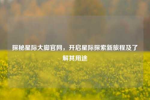 探秘星际大脚官网,开启星际探索新旅程及了解其用途
