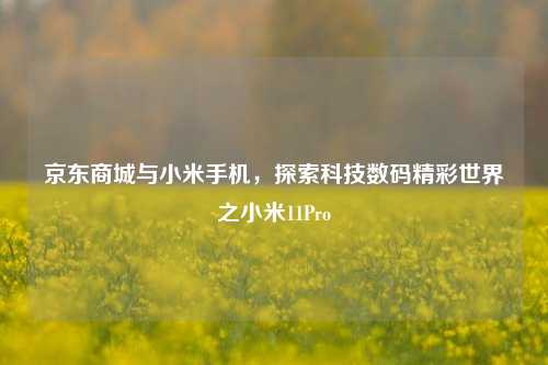 京东商城与小米手机,探索科技数码精彩世界之小米11Pro