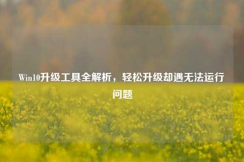Win10升级工具全解析,轻松升级却遇无法运行问题