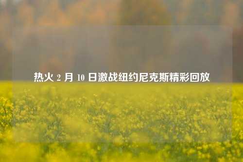 热火 2 月 10 日激战纽约尼克斯精彩回放