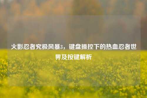火影忍者究极风暴3,键盘操控下的热血忍者世界及按键解析
