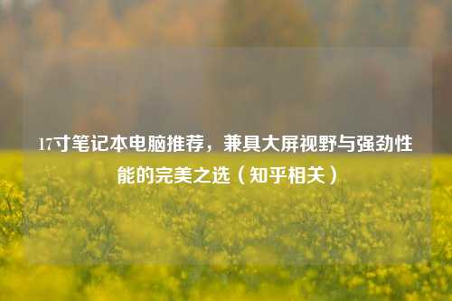 17寸笔记本电脑推荐,兼具大屏视野与强劲性能的完美之选(知乎相关)