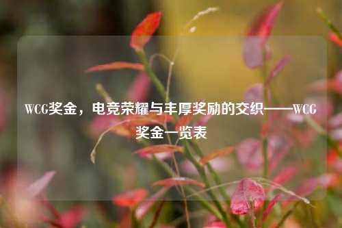 WCG奖金，电竞荣耀与丰厚奖励的交织——WCG奖金一览表