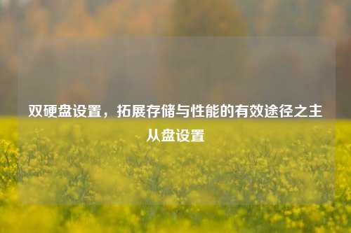 双硬盘设置,拓展存储与性能的有效途径之主从盘设置