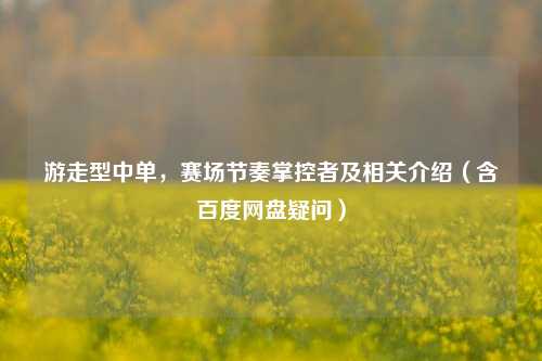 游走型中单，赛场节奏掌控者及相关介绍（含百度网盘疑问）