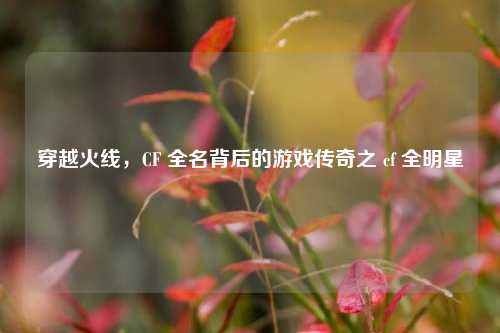 穿越火线,CF 全名背后的游戏传奇之 cf 全明星