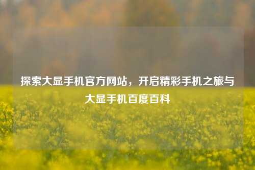 探索大显手机官方网站,开启精彩手机之旅与大显手机百度百科