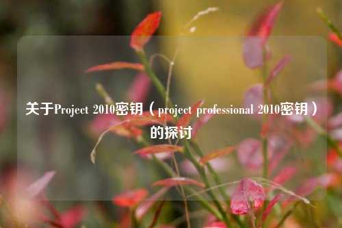 关于Project 2010密钥（project professional 2010密钥）的探讨