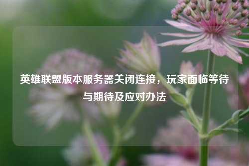 英雄联盟版本服务器关闭连接,玩家面临等待与期待及应对办法
