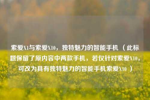索爱X1与索爱X10，独特魅力的智能手机 （此标题保留了原内容中两款手机，若仅针对索爱X10，可改为具有独特魅力的智能手机索爱X10 ）