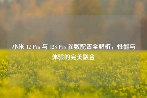 小米 12 Pro 与 12S Pro 参数配置全解析，性能与体验的完美融合