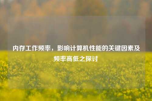 内存工作频率,影响计算机性能的关键因素及频率高低之探讨