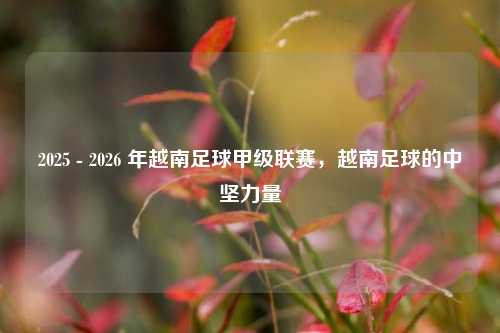 2025 - 2026 年越南足球甲级联赛,越南足球的中坚力量