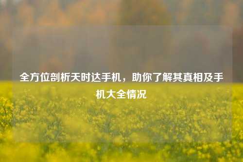 全方位剖析天时达手机,助你了解其真相及手机大全情况