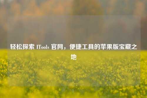 轻松探索 ITools 官网,便捷工具的苹果版宝藏之地