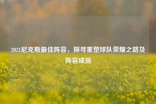 2021尼克斯最佳阵容,探寻重塑球队荣耀之路及阵容成员