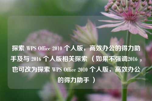 探索 WPS Office 2010 个人版，高效办公的得力助手及与 2016 个人版相关探索 （如果不强调2016 ，也可改为探索 WPS Office 2010 个人版，高效办公的得力助手 ）