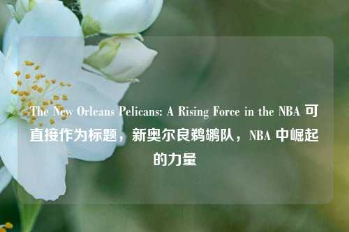 The New Orleans Pelicans: A Rising Force in the NBA 可直接作为标题,新奥尔良鹈鹕队,NBA 中崛起的力量