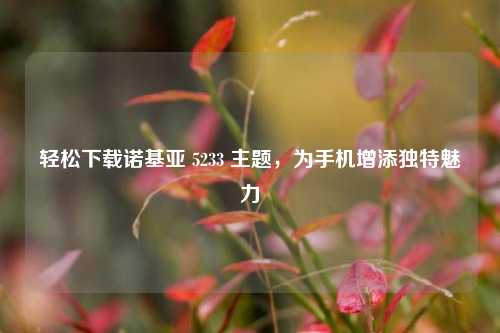 轻松下载诺基亚 5233 主题,为手机增添独特魅力