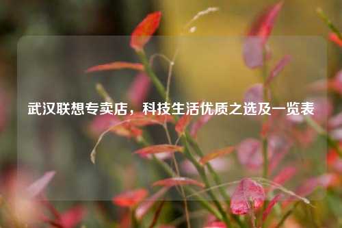 武汉联想专卖店，科技生活优质之选及一览表