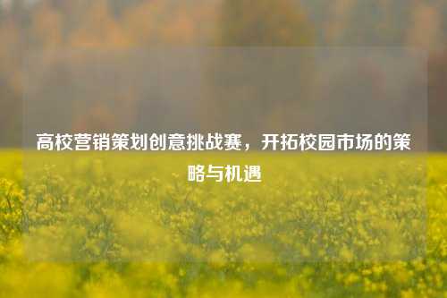 高校营销策划创意挑战赛,开拓校园市场的策略与机遇