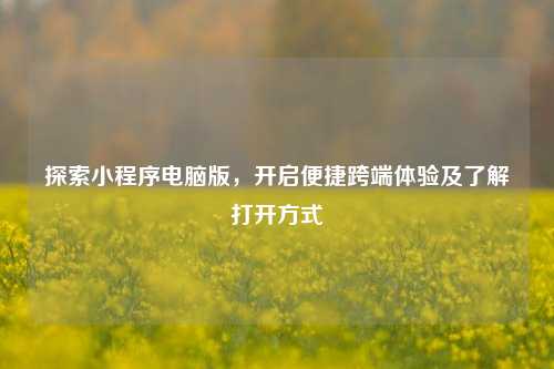探索小程序电脑版，开启便捷跨端体验及了解打开方式
