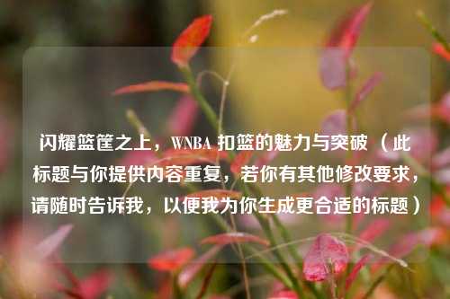 闪耀篮筐之上，WNBA 扣篮的魅力与突破 （此标题与你提供内容重复，若你有其他修改要求，请随时告诉我，以便我为你生成更合适的标题）