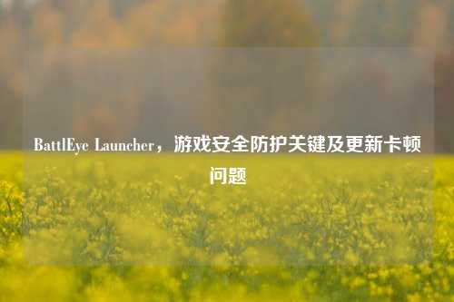 BattlEye Launcher,游戏安全防护关键及更新卡顿问题