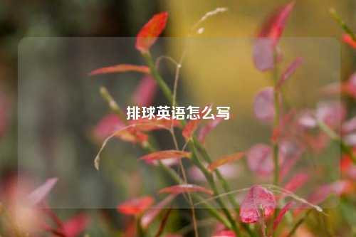 排球英语怎么写