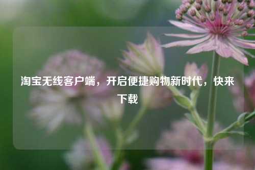 淘宝无线客户端,开启便捷购物新时代,快来下载