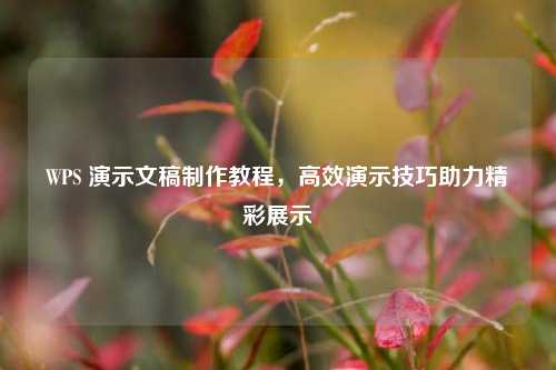 WPS 演示文稿制作教程，高效演示技巧助力精彩展示