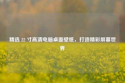 精选 22 寸高清电脑桌面壁纸，打造精彩屏幕世界