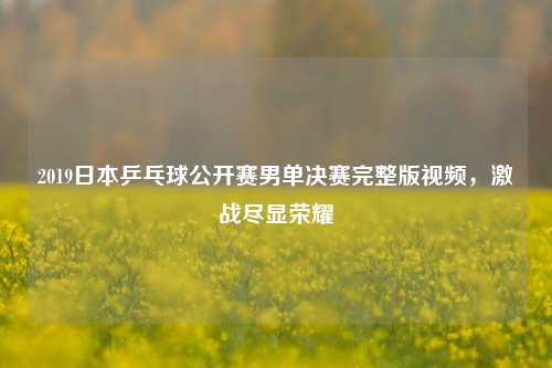 2019日本乒乓球公开赛男单决赛完整版视频，激战尽显荣耀