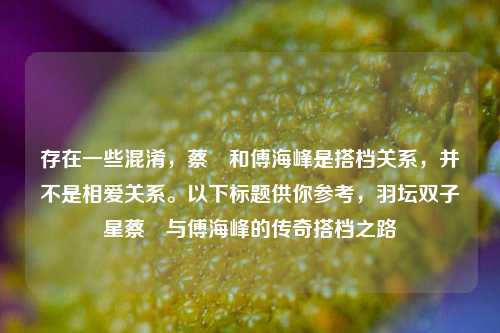存在一些混淆，蔡赟和傅海峰是搭档关系，并不是相爱关系。以下标题供你参考，羽坛双子星蔡赟与傅海峰的传奇搭档之路