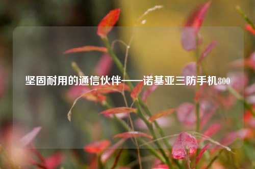 坚固耐用的通信伙伴——诺基亚三防手机800