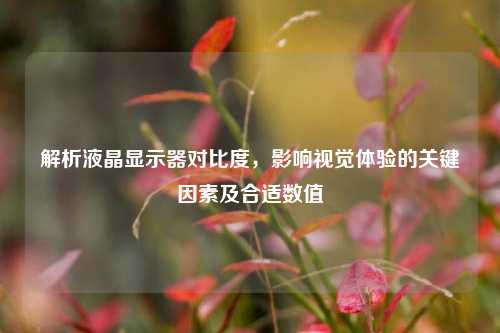 解析液晶显示器对比度，影响视觉体验的关键因素及合适数值
