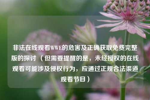 非法在线观看WWE的危害及正确获取免费完整版的探讨 （但需要提醒的是，未经授权的在线观看可能涉及侵权行为，应通过正规合法渠道观看节目）