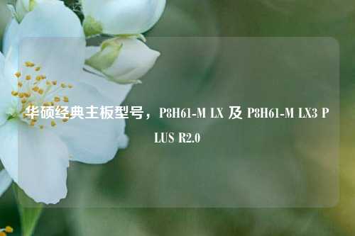 华硕经典主板型号,P8H61-M LX 及 P8H61-M LX3 PLUS R2.0