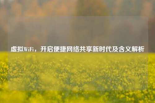 虚拟WiFi，开启便捷网络共享新时代及含义解析
