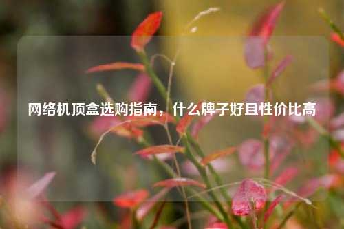 网络机顶盒选购指南，什么牌子好且性价比高