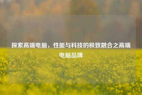 探索高端电脑，性能与科技的极致融合之高端电脑品牌