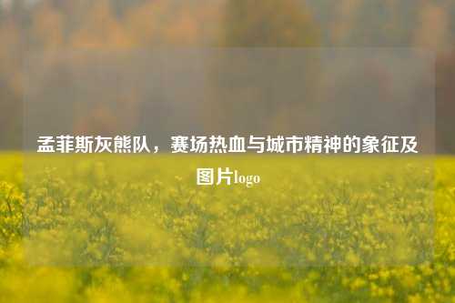 孟菲斯灰熊队，赛场热血与城市精神的象征及图片logo
