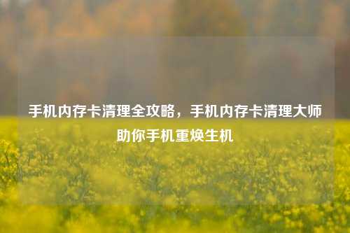 手机内存卡清理全攻略,手机内存卡清理大师助你手机重焕生机