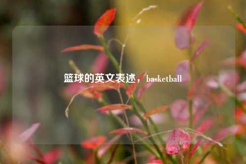 篮球的英文表述，basketball