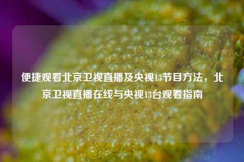 便捷观看北京卫视直播及央视13节目方法，北京卫视直播在线与央视13台观看指南