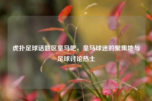 虎扑足球话题区皇马吧，皇马球迷的聚集地与足球讨论热土