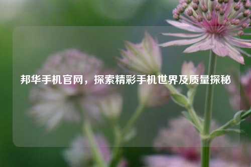 邦华手机官网，探索精彩手机世界及质量探秘