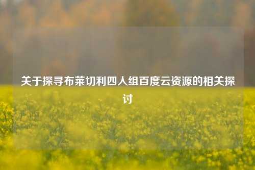 关于探寻布莱切利四人组百度云资源的相关探讨