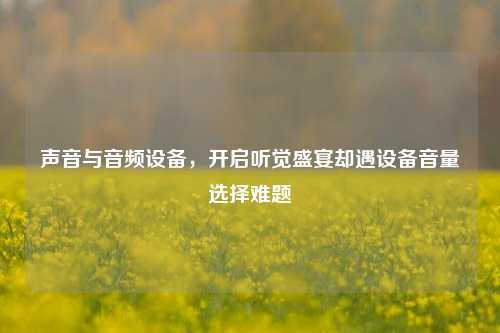 声音与音频设备，开启听觉盛宴却遇设备音量选择难题