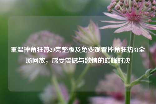 重温摔角狂热29完整版及免费观看摔角狂热31全场回放,感受震撼与激情的巅峰对决
